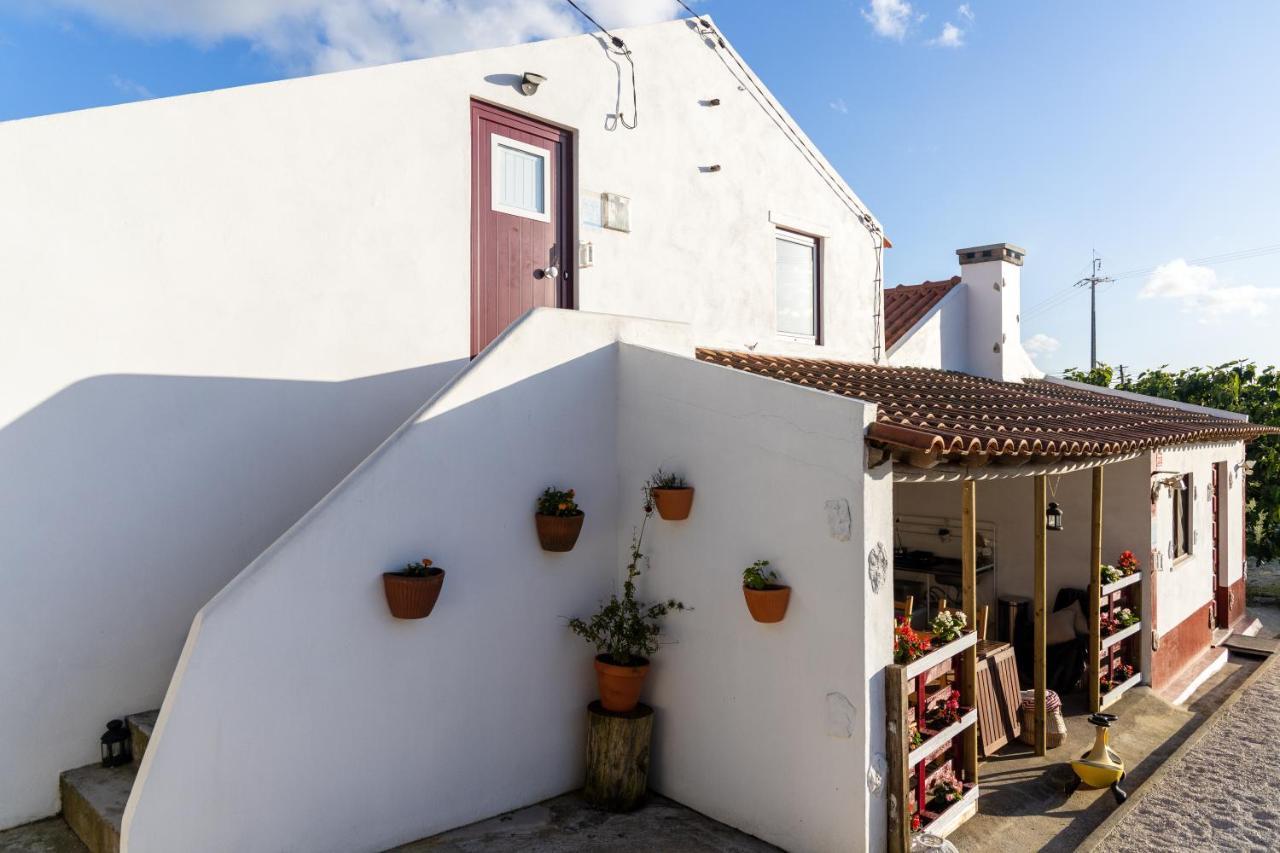 Avo Rosa Guesthouse Sao Joao da Ribeira Exterior photo