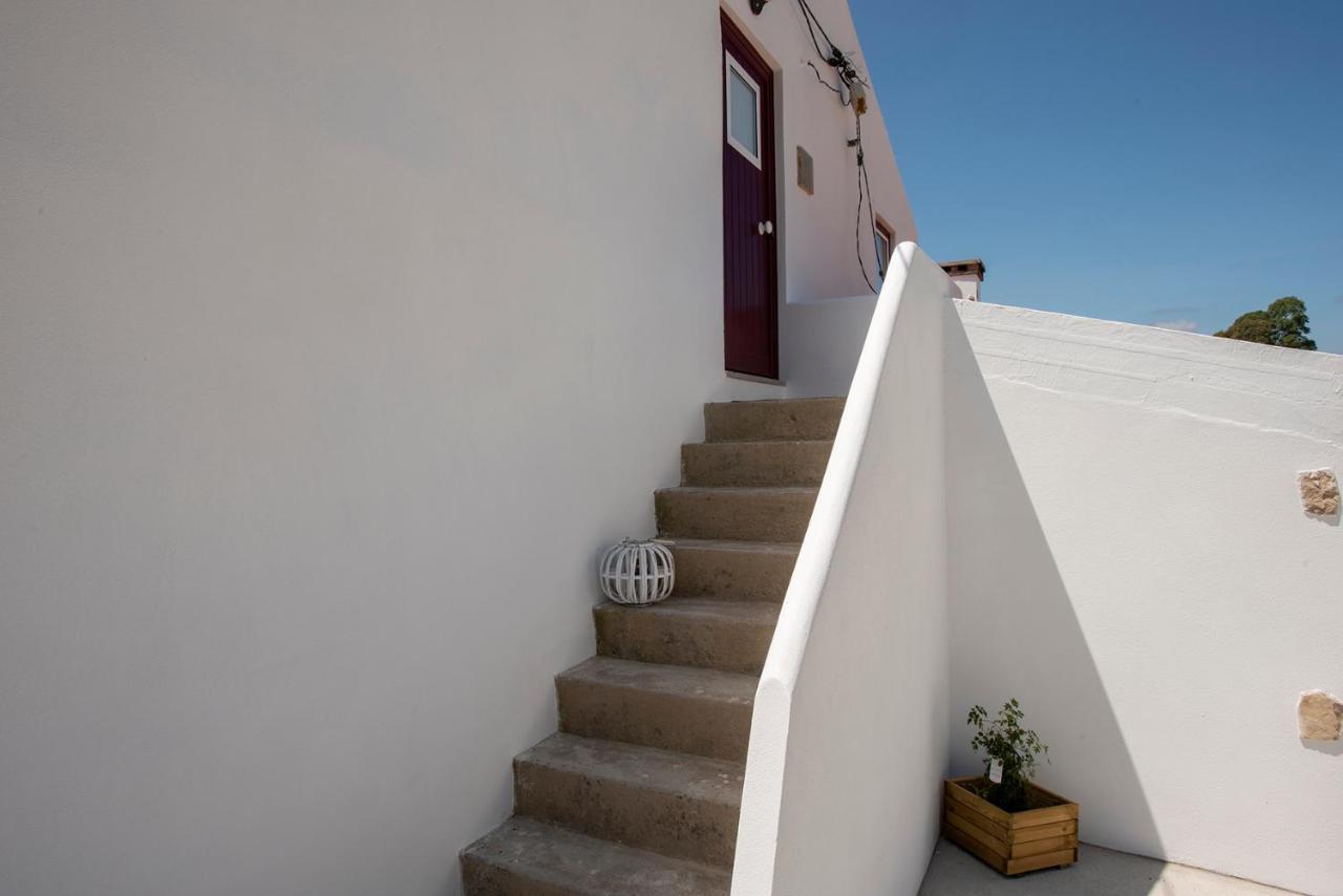 Avo Rosa Guesthouse Sao Joao da Ribeira Exterior photo